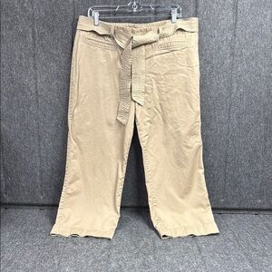 Ann Taylor Tan Chinos Cropped Wide Leg